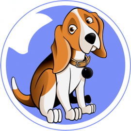 BestDogVideos